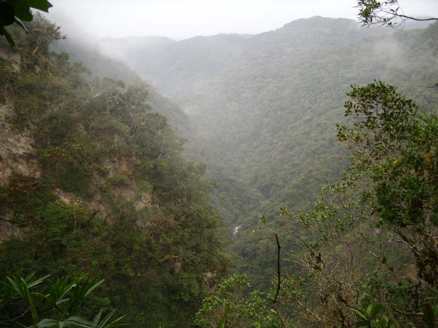 caetezal_salto-cima